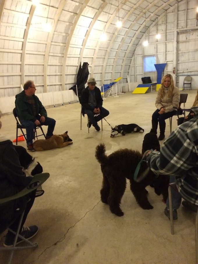 puppy socialization classes what is puppy socialization puppy socialization classes what is puppy socialization