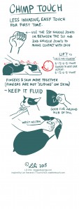 Calming Strategies