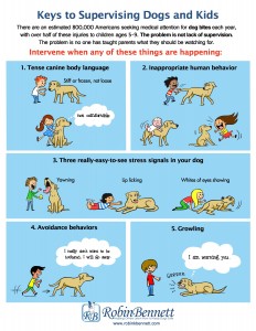 Keys to Supervising Dogs & Kids